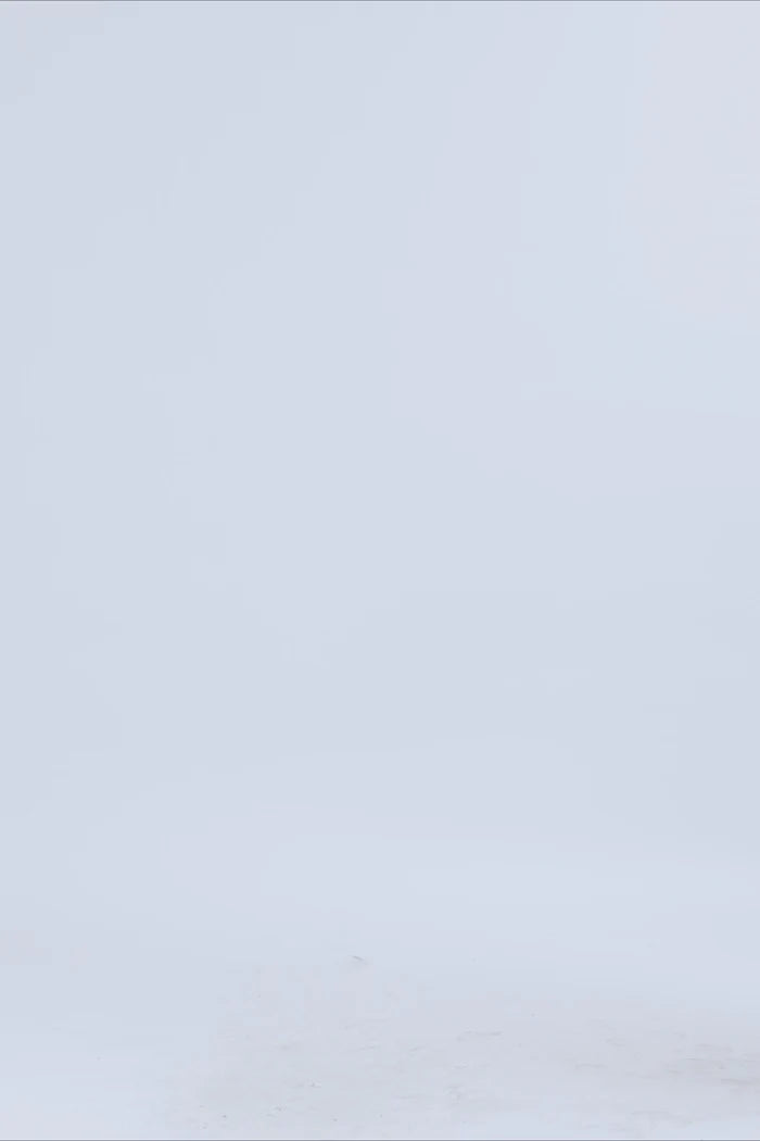 Lollys Laundry Nicky LS Shirt