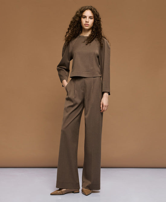 Access Fashion Coffee Trousers With Pleats