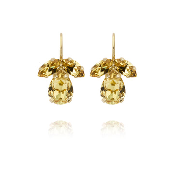 Caroline Svedbom Petite Timo Earrings Gold Dark Jonquil