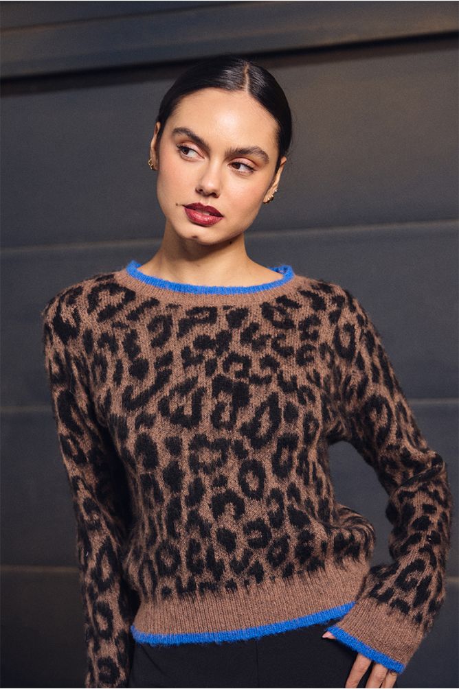 Molly Bracken Animal Print Brown Sweater With Blue Accents