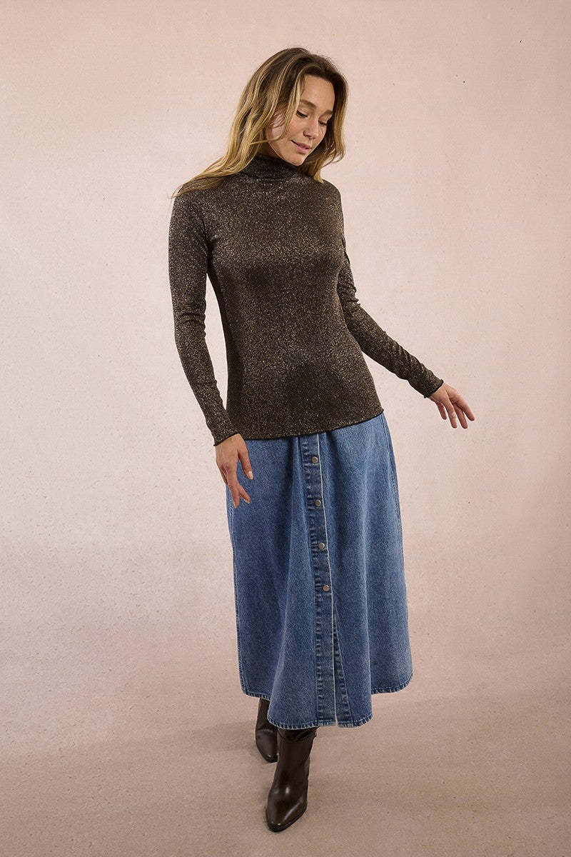 Molly Bracken Thin Chocolate Turtleneck Sweater In Iridescent Knitwear
